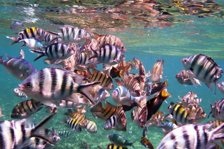 Perhentian Island Free & Easy with Snorkeling Trips 3D2N