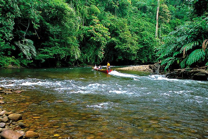 Full Day Trip of Brunei Ulu Temburong National Park including Canopy Walk