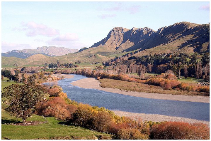 Shore Excursion: 4-Hour Discover Hawkes Bay and Napier Tour