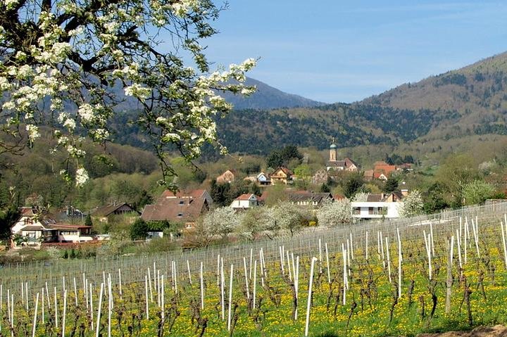 Alsace 4 Wonders Small-Group Day Trip from Colmar