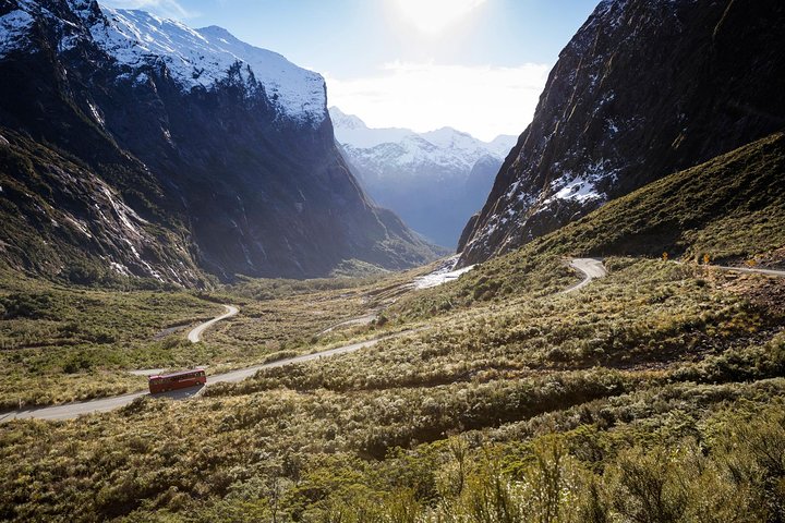 Milford Sound Premium Coach & Cruise from Queenstown with Lunch