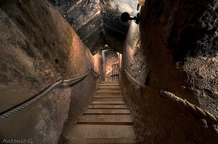 Ribera del Duero Underground Cellar & Wine Tasting Experience