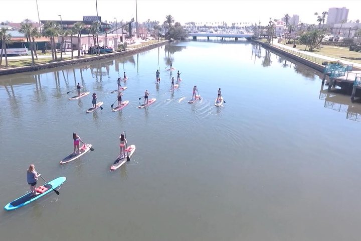 Daytona Beach Dolphin & Manatee Tour – Paddleboard or Kayak