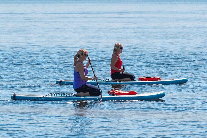Daytona Beach Dolphin & Manatee Tour – Paddleboard or Kayak