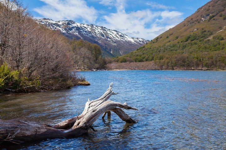Discover Cerro Tronador with Ventisquero Negro Glacier