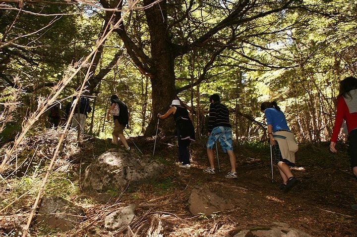 Discover Colorado Volcano: Guided Adventure
