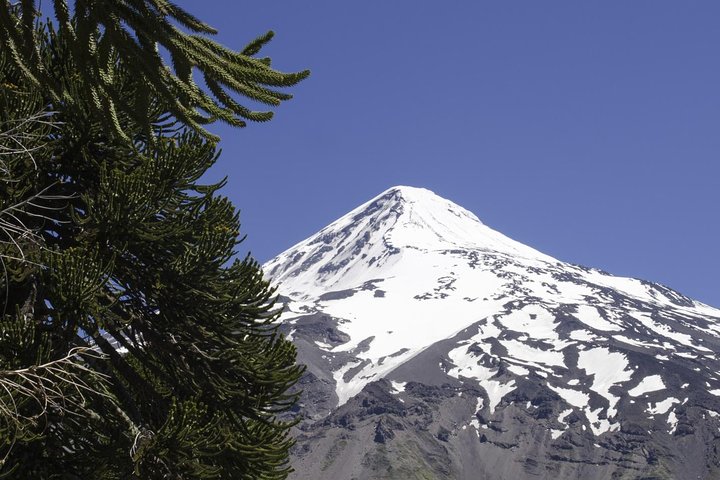 Horseback Riding Tour: Lanin National Park and Mapuche Culture
