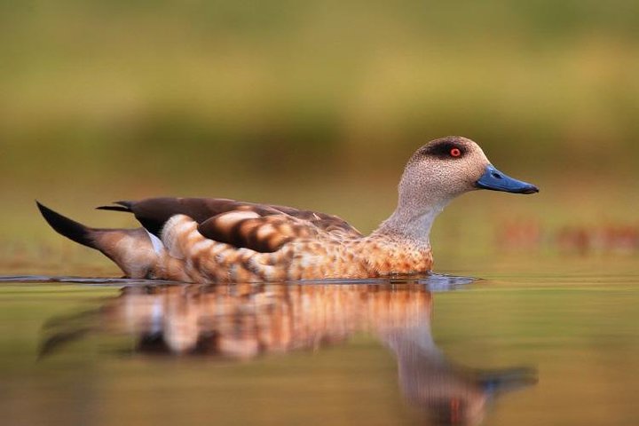 Full-Day Tour to Laguna de los Pozuelos from Tilcara