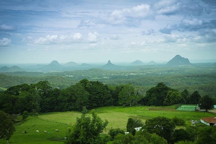 Sunshine Coast Hinterland and Noosa Day Trip from Brisbane Incl Eumundi Markets