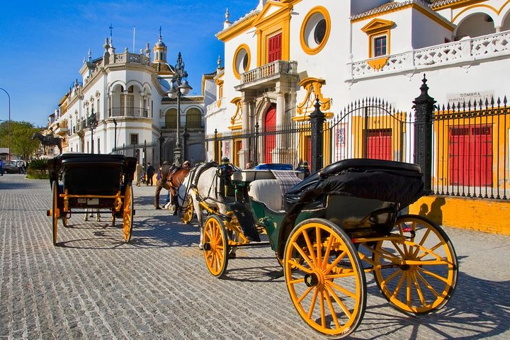 Best of Seville: Top Excursion from Cadiz Port - cruisers only