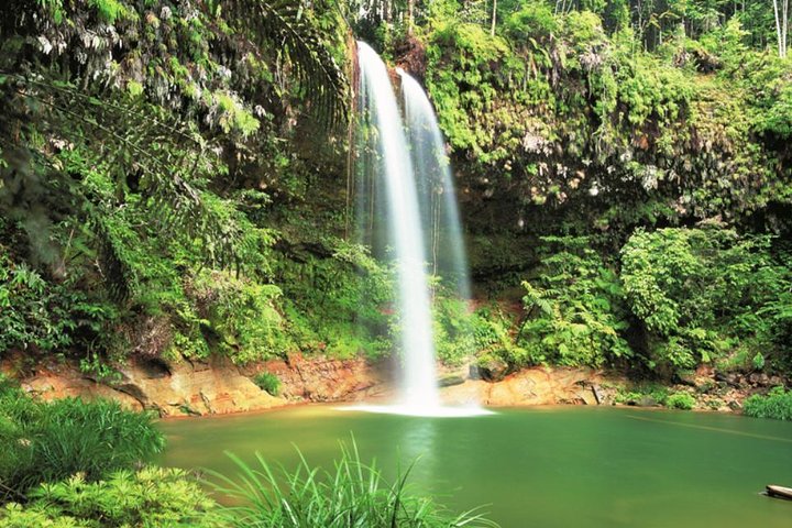 Half-Day Lambir Hills National Park Tour from Miri