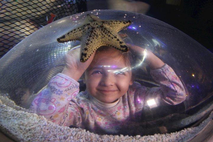 SEA LIFE Blackpool Admission Ticket