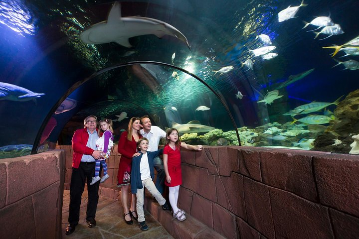 SEA LIFE Hannover Ticket