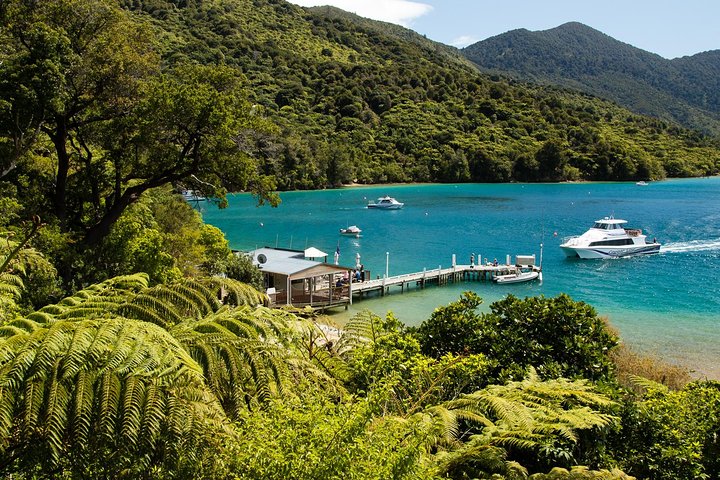 3.5 Hour Marlborough Sounds Delivery Cruise