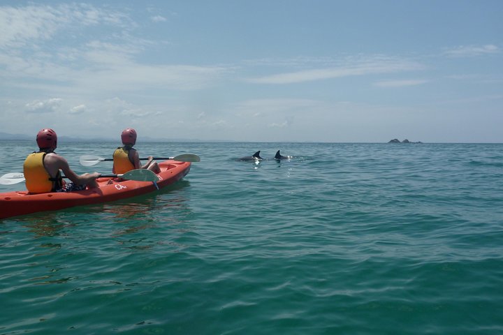Kayaking with Dolphins in Byron Bay Guided Tour