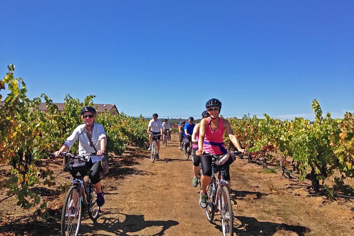 Santa Rosa Bike & Wine Tour