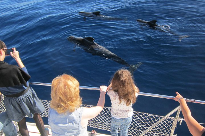 Most Famous Catamaran in Tenerife Island - Unlimited Drinks