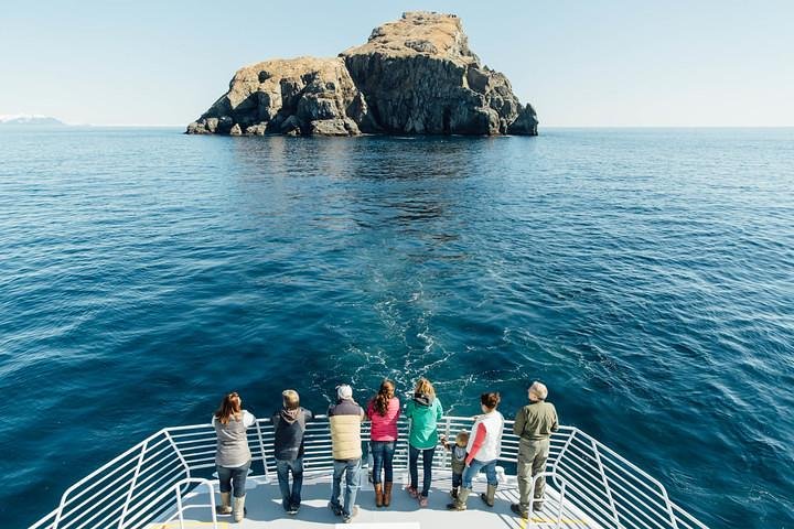 Kenai Fjords National Park Glacier & Wildlife Tour from Seward