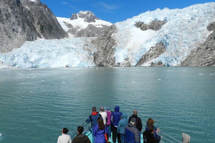 Full day Northwestern Glacier & Wildlife Tour from Seward