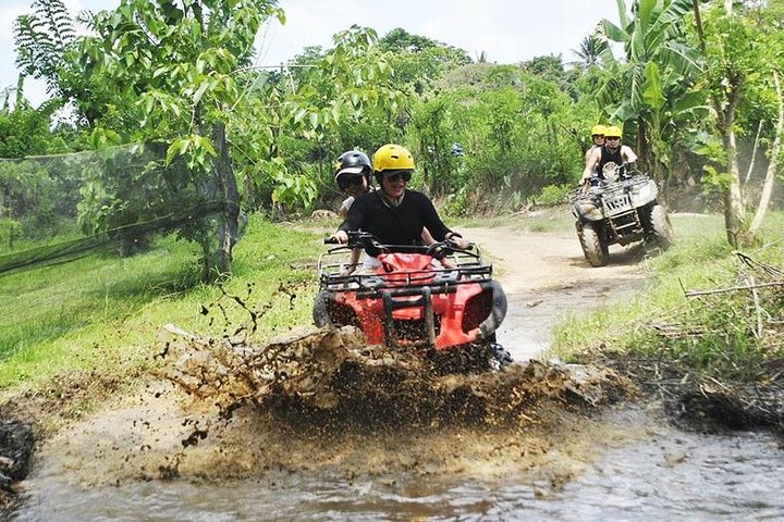 Bali Quad Bike Through Gorilla Cave - Monkey Forest and Waterfall
