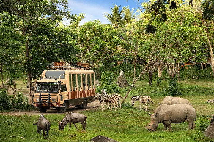 Phu Quoc: VinWonders & Safari Tickets with Private Transfer