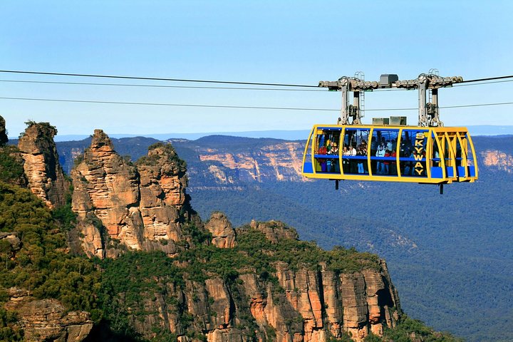 PRIVATE Blue Mountains tour & Koalas, Kangaroos, Cruise plus more