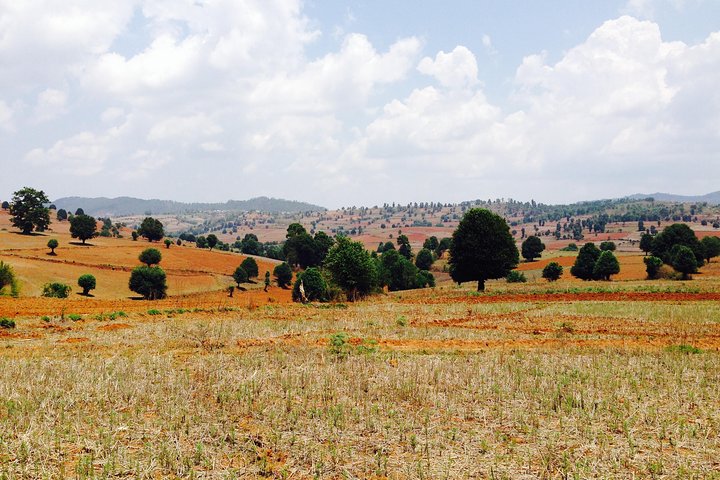 Nyaung Shwe Half Day Trekking