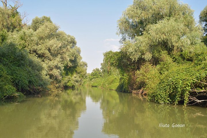 Danube Delta PRIVATE boat trip to Mila23 Village (guided tour)