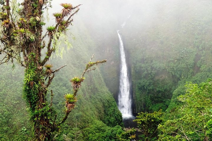 Arenal Volcano Full-Day Combo Tour with Lunch and Dinner