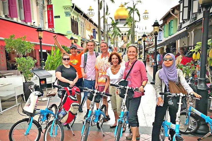 Lion City Bike Tour of Singapore