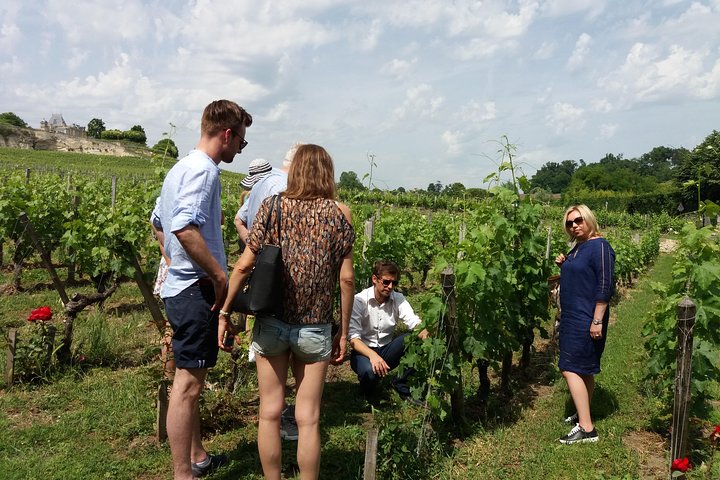 Saint Emilion Wine Tour Tasting Half Day from Bordeaux