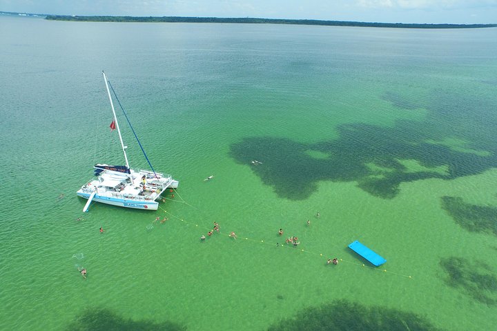 Shell Island Snorkel and Dolphin Catamaran Cruise with Island Time