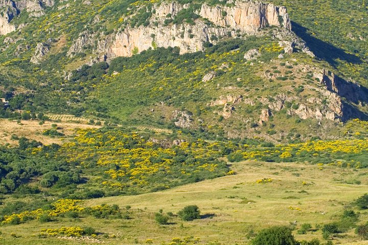 Sicilian Villages & Ricotta Tasting - including Lunch from Cefalu