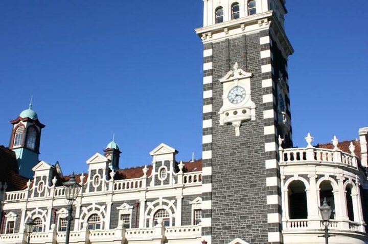 Dunedin Shore Excursion: Small-Group Tour of Dunedin and the Otago Peninsula