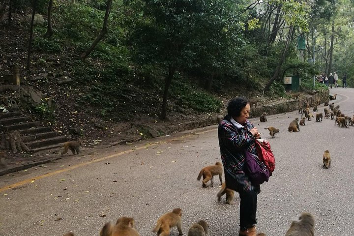 Private Guiyang Day Tour including Qingyan Ancient Town and Qianling Park