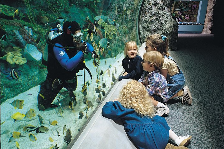 Skip the Ticketing Line: Aquarium of the Pacific General Admission Ticket