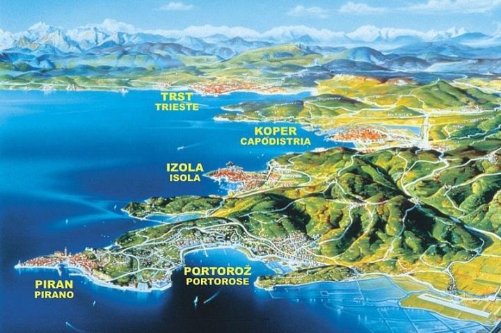 Piran and Scenic Slovenian Coast - Private Tour from Trieste