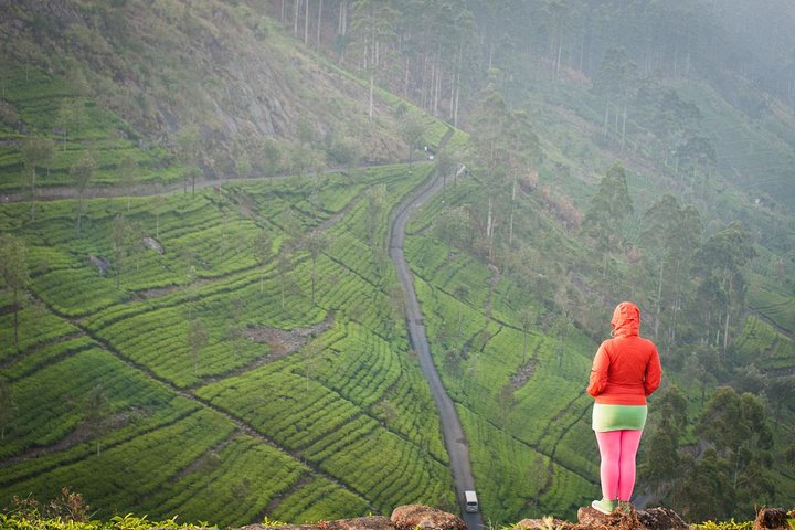 Lipton's Seat and Tea Factory,Trail Amidst Tea Plantation Day Tour
