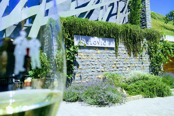 Wine & more Tour , private guided wine tour from ROVINJ & PULA to wine cellars