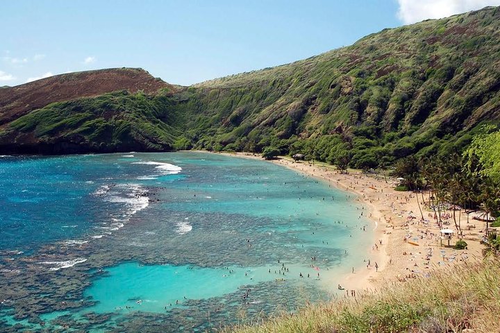 Hanauma Bay Snorkeling from Waikiki