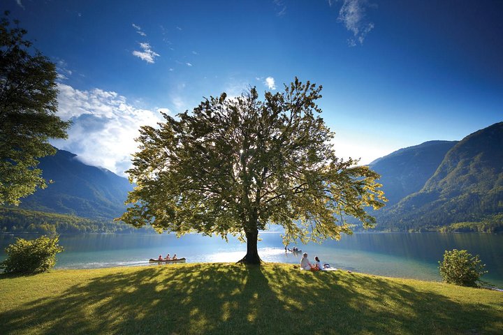 A day in Alpine Slovenia: Lakes Bled, Bohinj & Vintgar Gorge