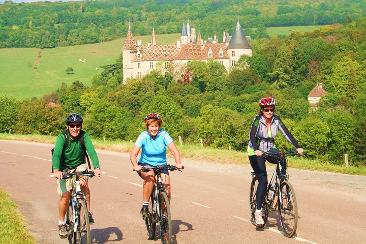 Burgundy Bike Tour with Wine Tasting from Beaune