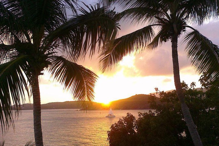 Sunset & Harbor Lights Dinner Sail from the Marriott's Frenchman's Cove
