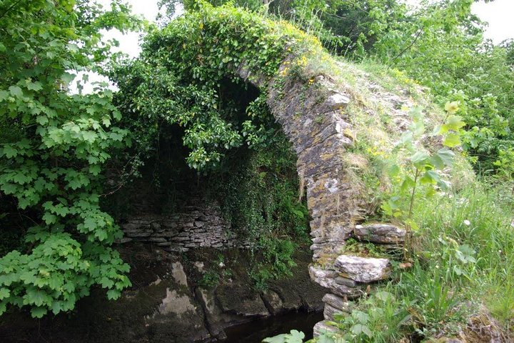 Private Tour:Ring of Kerry,Kerry Cliffs from Kenmare, Sneem etc.