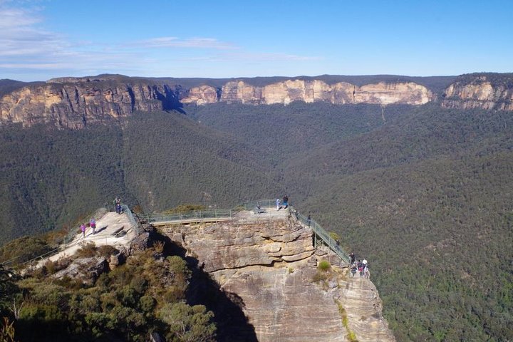 PRIVATE Blue Mountains tour & Koalas, Kangaroos, Cruise plus more