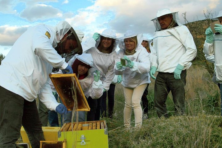Beekeeper for a Day close to Nafplio