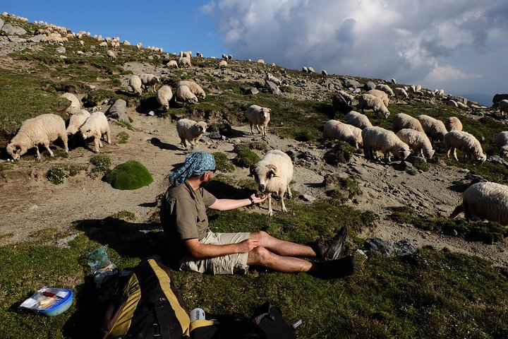 From Sibiu: Hiking along Transfagarasan Scenic Road