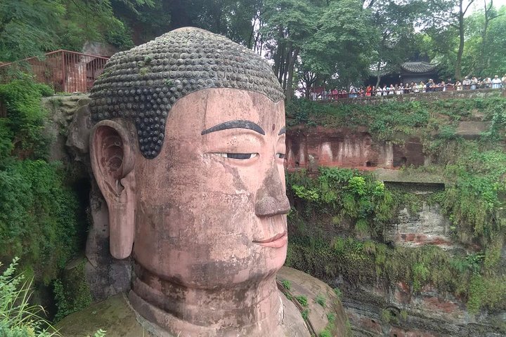 All Inclusive Private Trip to Chengdu Giant Panda Base and Leshan Giant Buddha