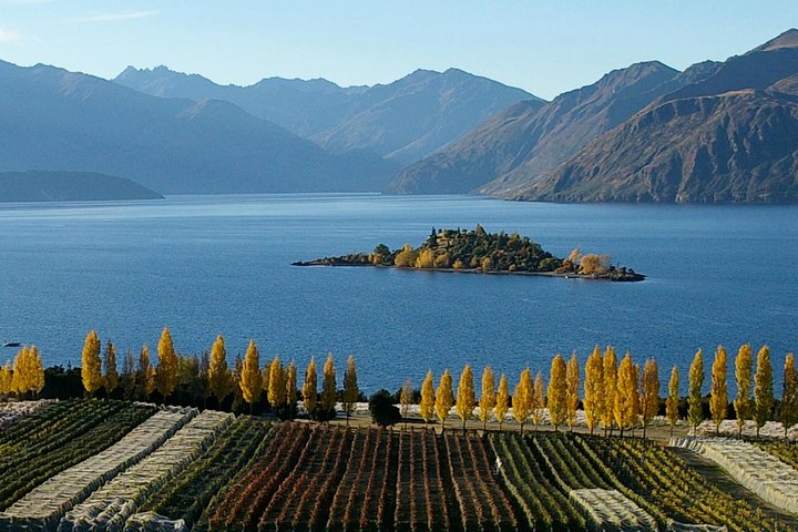 Wanaka Wine Tours - Boutique Tour
