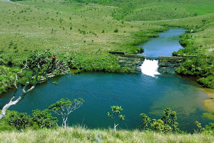 Nuwara Eliya: All Inclusive Horton Plains & Tea Plucking Day Trip